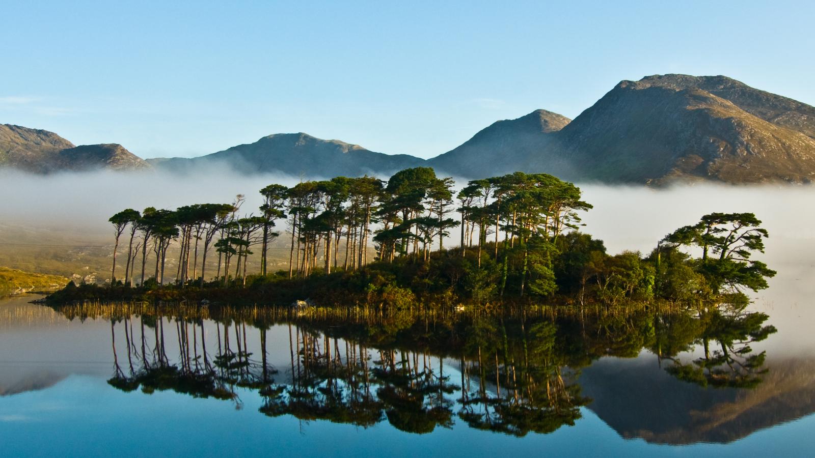 Mystical Experiences bay mist over water trees